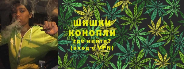 тгк Лиски