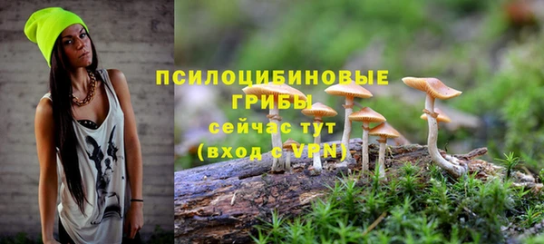 эйфоретик Липки