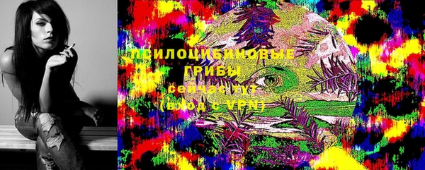 эйфоретик Липки